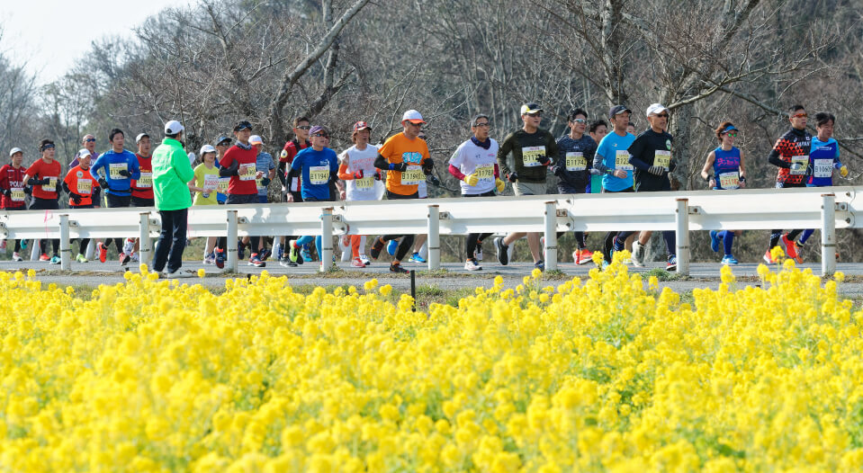世界遺産姫路城マラソン2023のコースをご紹介